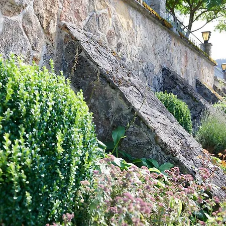 The Conscious Farmer Sauerland Gasthof Willingen (Upland)