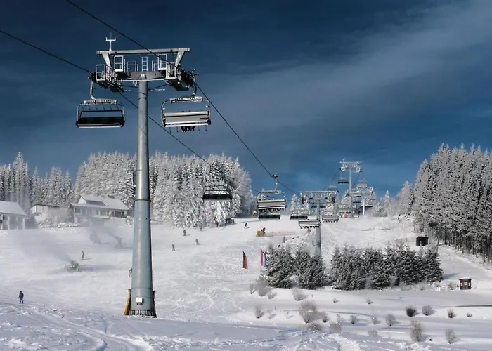 The Conscious Farmer Sauerland