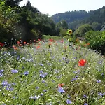 Pensión The Conscious Farmer Sauerland Willingen (Upland)