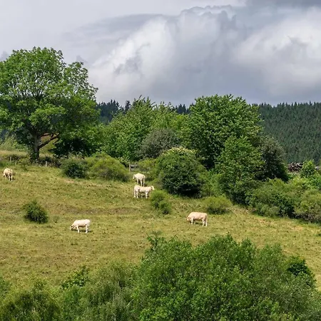 The Conscious Farmer Sauerland 3* فيلنغن