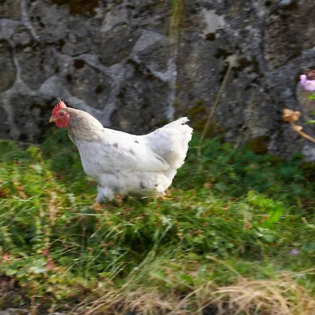 The Conscious Farmer Sauerland * Willingen (Upland)