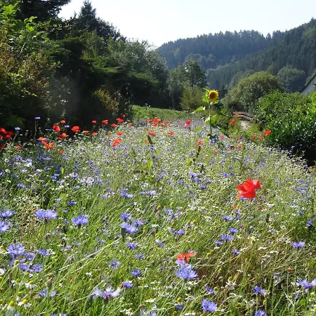 Casa de hóspedes The Conscious Farmer Sauerland Willingen (Upland)