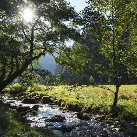 The Conscious Farmer Sauerland