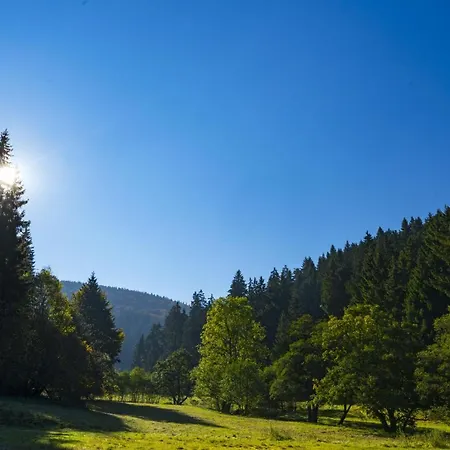 The Conscious Farmer Sauerland