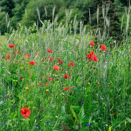 The Conscious Farmer Sauerland فيلنغن