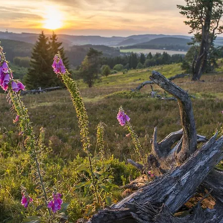 The Conscious Farmer Sauerland فيلنغن