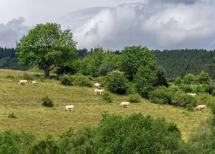 The Conscious Farmer Sauerland 3* Willingen (Upland)