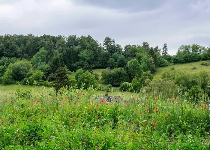 The Conscious Farmer Sauerland