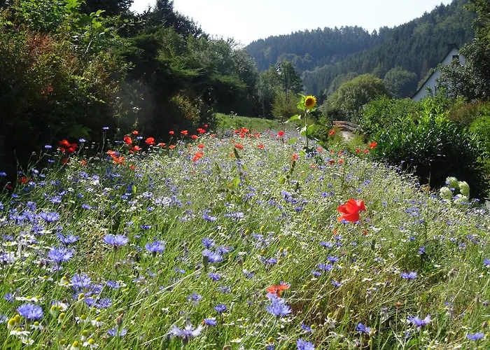 Gasthof The Conscious Farmer Sauerland Willingen (Upland)