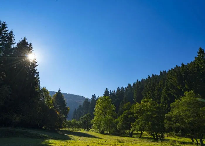 The Conscious Farmer Sauerland